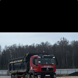 ���� ������, �����, 43 ���� - ��������� 3 ����� 2026