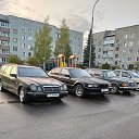 ���� ��������, �������, 53 ���� - ��������� 7 ������ 2023 � ������ ���� ����������
