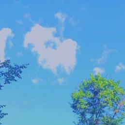 ����, 24 ����, ������