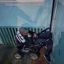���� �������, �����, 56 ��� - ��������� 30 ����� 2026 � ������ ���� ����������