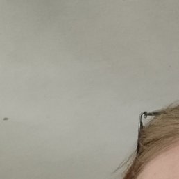 , , 54 