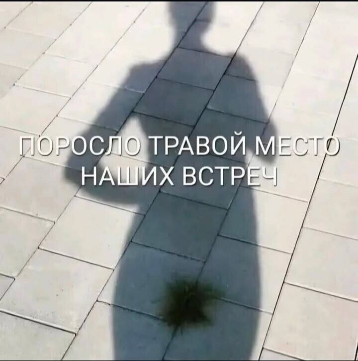 "�������� ����") - 31 ������� 2025 � 17:10