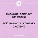 ���� No Name, ������������ - ��������� 29 ��� 2024 � ������ ���� ����������