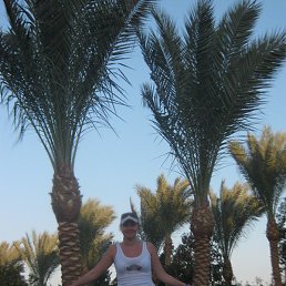 �������, ���������, 44 ����