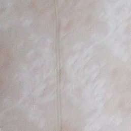 �����, �����������, 49 ���