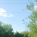 ���� *~Seryoga~*, �������� - ��������� 17 ������ 2024 � ������ ���� ����������