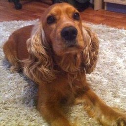 ����, ������, 21 ���