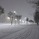���� �����, �������, 43 ���� - ��������� 23 ������ 2026 � ������ ���������� ��������