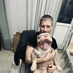 , 37 ,  