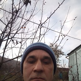 , 41, 