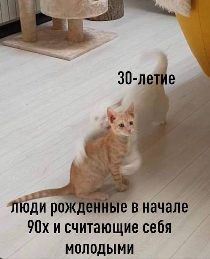    - 22  2024  18:23