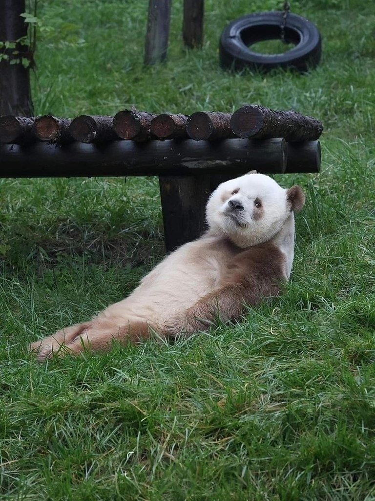   ,      .   ,       ... - 4