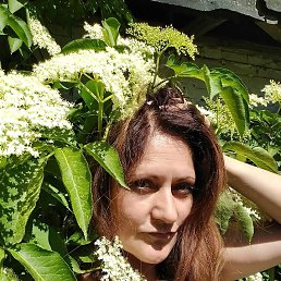 ���� ������, ����, 54 ���� - ��������� 1 ������� 2024