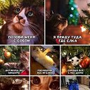 ���� ������, ���������, 56 ��� - ��������� 16 ������� 2023 � ������ ������ ��������