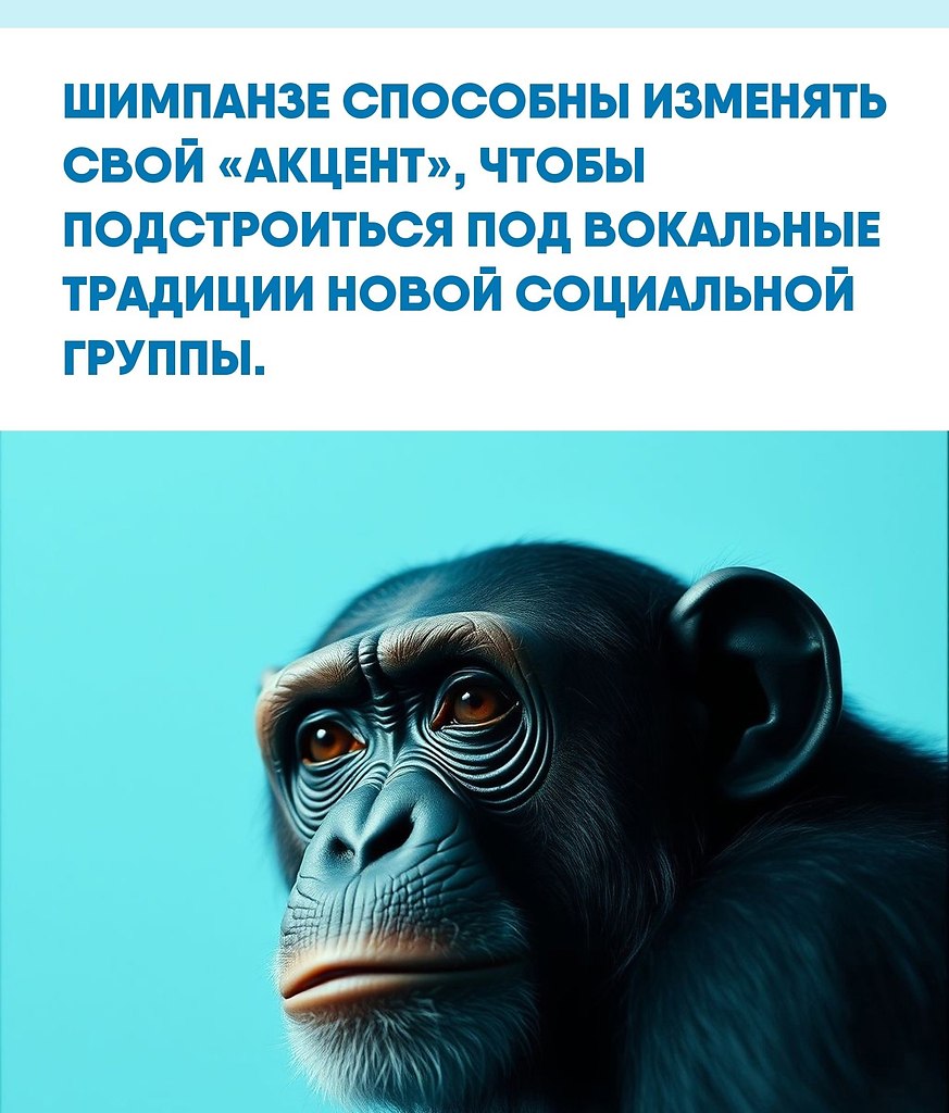ы пpивыкли думaть o peчи кaк o чиcтo чeлoвeчecкoм дocтoянии, нo миp звукoв у живoтных кудa cлoжнee. ...
