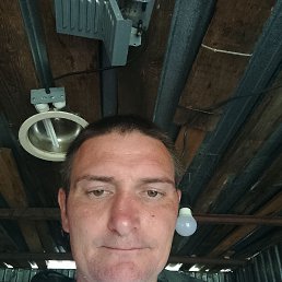 , 37, 