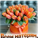 ���� �����, ������������, 66 ��� - ��������� 23 ������� 2025 � ������ ������ ��������