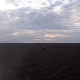 ����, ������, 36 ���