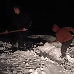 ���� ���������, �����, 36 ��� - ��������� 14 ������ 2024