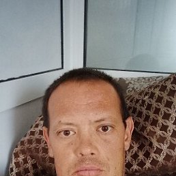 , 42, 