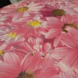 ����, ��������, 44 ����