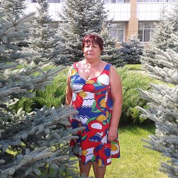 �������, ��������, 68 ���