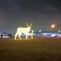 ����, ���������, 54 ����