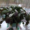 ���� ���������, ������, 71 ��� - ��������� 22 ������� 2023 � ������ ���� ����������