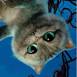 �����, ������, 46 ���