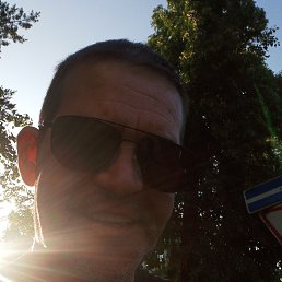 , 41 ,  