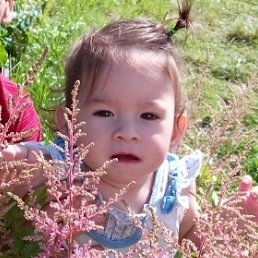 ��������, ������, 49 ���