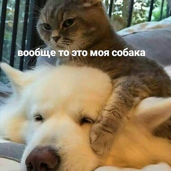    - 29  2023  02:15