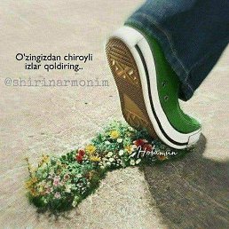Oliya, �������, 65 ���