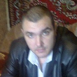 ������, ����, 41 ���