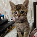 ���� �����, ���� - ��������� 25 ������ 2025 � ������ ������ ��������