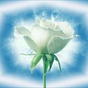 ���� �������, ��������, 37 ��� - ��������� 18 ����� 2024 � ������ ���� ����������