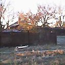 ���� �������(���� ����� �����), ���������, 47 ��� - ��������� 2 ������� 2026 � ������ ������ ��������