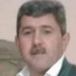 ���, ������, 55 ���