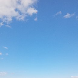 ���� ������, �������, 55 ��� - ��������� 15 �������� 2025