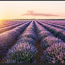 ���� �����, ����-�������, 63 ���� - ��������� 10 ������� 2025 � ������ ���� ����������