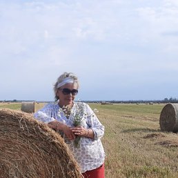 ���� �������, �������, 67 ��� - ��������� 2 ������� 2023