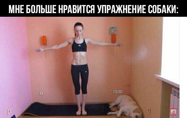 Эти забавные животные - 1 ноября 2023 в 23:22