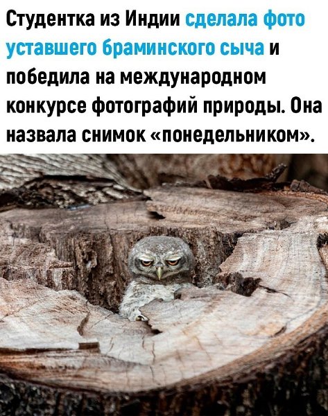 ����� ���������� �� �����! - 15 ������� 2024 � 19:26