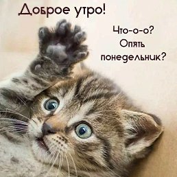 ���� ������, ������-��-����, 56 ��� - ��������� 30 ������� 2023