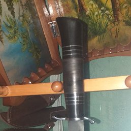 ����, ����, 43 ����