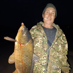 ����, 44 ����, ������-���