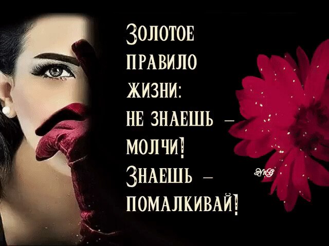 ������� - 14 ���� 2026 � 16:40