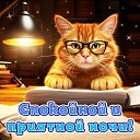 ���� �������, ������ ��������, 64 ���� - ��������� 25 ������� 2024 � ������ ���� ����������