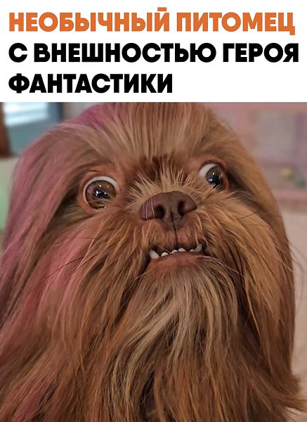 ϸ� � ���������� ����� ������ ��������� �������� ����. ���� �������� ������� � �������������� ...