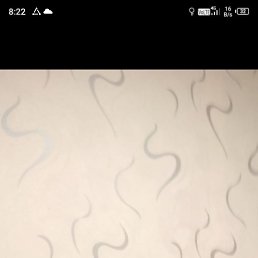 , 62, 